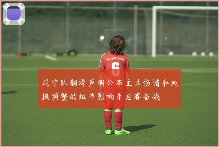 辽宁队翻译声明公布主力伤情和轮换调整的细节影响季后赛备战