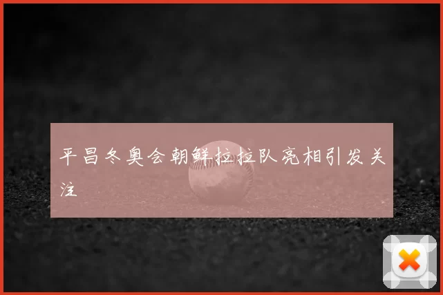 平昌冬奥会朝鲜拉拉队亮相引发关注