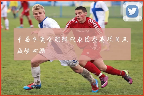 平昌冬奥会朝鲜代表团参赛项目及成绩回顾